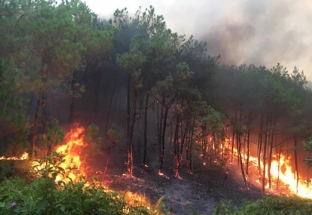 Xác định vùng có nguy cơ cháy rừng cao để chủ động phòng ngừa