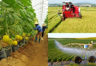 Năm 2021: Ngành nông nghiệp đạt nhiều kết quả vượt bậc
