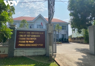 Trưởng phòng tư pháp huyện ở Đắk Nông bị cách chức vì ăn trộm cây hoa giấy