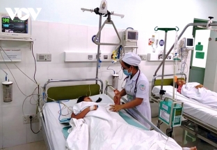 Số ca mắc sốt xuất huyết và tay chân miệng ở Khánh Hòa tăng mạnh