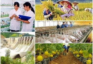 Chính sách khuyến khích doanh nghiệp đầu tư vào nông nghiệp, nông thôn