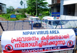 Lý do virus Nipah có thể gây đại dịch chết người giống như Covid-19