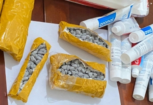 Vận chuyển 30kg ma túy từ Đức về Việt Nam tiêu thụ