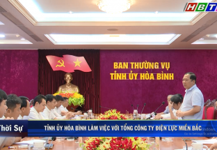 6/8: Tỉnh ủy Hòa Bình làm việc với Tổng công ty Điện lực Miền Bắc