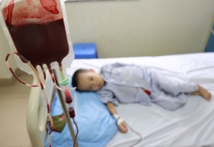 Trên 13% người Việt Nam mang gen bệnh tan máu bẩm sinh