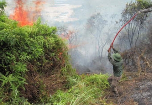 Nguy cơ cháy rừng ở cấp cực kỳ nguy hiểm