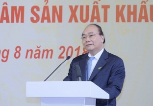 Thủ tướng: Phải xây dựng được thương hiệu sản phẩm gỗ Việt Nam