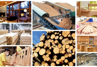 Phát triển ngành chế biến gỗ, lâm sản XK thành ngành kinh tế mũi nhọn