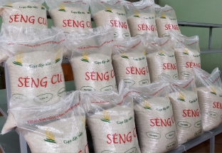 Đưa gạo Việt thương phẩm tiếp cận thị trường thế giới