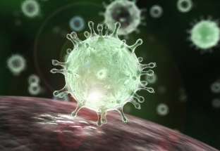 Brazil phát hiện trường hợp đầu tiên nghi nhiễm virus SARS-CoV-2