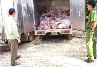 Kiểm soát chặt việc vận chuyển lợn, sản phẩm từ lợn qua biên giới
