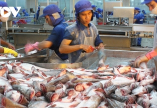 Xuất khẩu hải sản của Việt Nam tăng 26% trong tháng 5/2021
