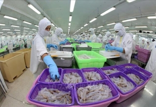 WB: Kinh tế Việt Nam tiếp tục phục hồi dù tăng trưởng có xu hướng giảm tốc