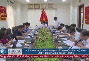 Kiểm tra thực hiện nghị quyết Đại hội Đảng Bộ tỉnh lần thứ XVI tại Sở Công Thương 