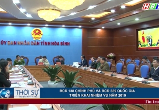 BCĐ 138 Chính phủ và BCĐ 389 Quốc gia triển khai nhiệm vụ năm 2019