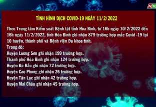 11/2: Tình hình dịch Covid-19 trên địa bàn tỉnh Hòa Bình ngày 11/2/2022