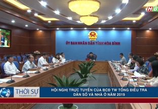 Hội nghị trực tuyến của BCĐ TW tổng điều tra dân số và nhà ở năm 2019