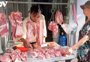 Trung Quốc chi 17 tỷ USD nhập khẩu, Việt Nam chặn gấp lợn vượt biên