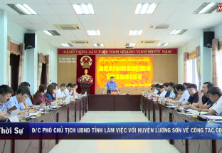 16/6: Phó chủ tịch UBND tỉnh làm việc với huyện Lương Sơn về công tác GD&ĐT