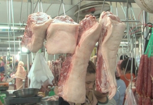Giá thịt lợn bán lẻ vẫn tăng trong lúc nhập khẩu lợn sống từ Thái Lan