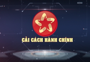 CM: Cải cách hành chính 14/11/2024