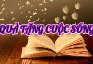 Quà tặng cuộc sống 11/7/2024