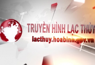 Trang địa phương: huyện Lạc Thủy 6/6/2024