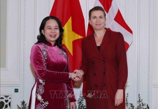 Phó chủ tịch nước Võ Thị Ánh Xuân hội đàm với Thủ tướng Đan Mạch Mette Frederiksen