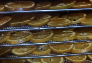 Lọt top 10 trái cây ngon nhất Việt Nam, cam sành Hàm Yên vẫn gặp khó đầu ra