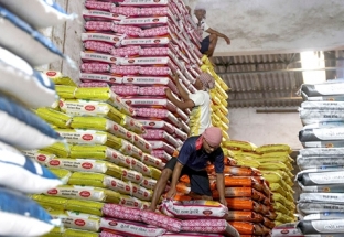 Viễn cảnh “xám màu” về giá gạo toàn cầu