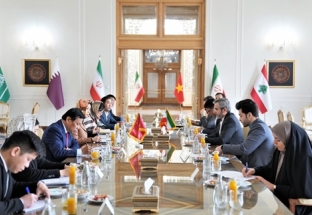 Đẩy mạnh quan hệ hữu nghị và hợp tác Việt Nam - Iran