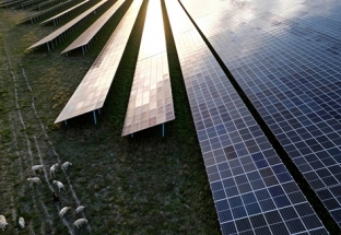 Nghịch lý đối với ngành điện mặt trời tại châu Âu