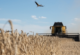 EU phản đối các lệnh cấm ngũ cốc Ukraine của Ba Lan và Hungary