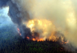 Hơn 100 triệu người ở Mỹ bị ảnh hưởng bởi khói cháy rừng ở Canada