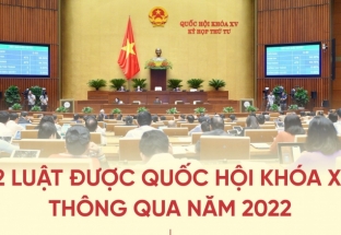 12 luật được Quốc hội khóa XV thông qua năm 2022