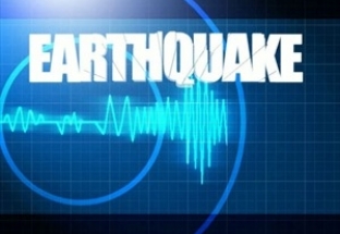 Nhật Bản: Động đất mạnh 5,3 tại thủ đô Tokyo
