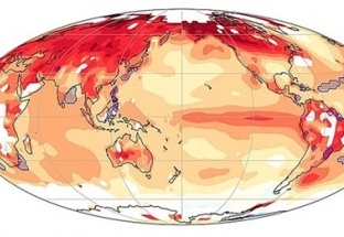 Ba khu vực trên thế giới sẽ chứng kiến nhiệt độ kỷ lục trong năm nay
