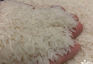 Giá gạo xuất khẩu của Việt Nam cao nhất thế giới