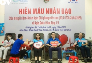 Bộ trưởng Bộ Y tế làm Trưởng Ban chỉ đạo Quốc gia vận động hiến máu tình nguyện