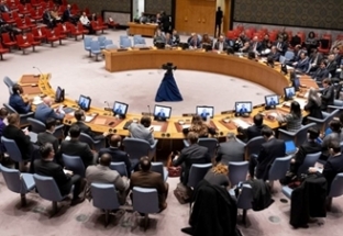 Hội đồng Bảo an Liên hợp quốc thông qua nghị quyết về Biển Đỏ