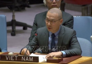 Việt Nam tiếp tục kêu gọi ngừng bắn tại Gaza