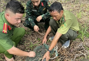 Thả kỳ đà hoa quý hiếm bị mắc bẫy về môi trường tự nhiên