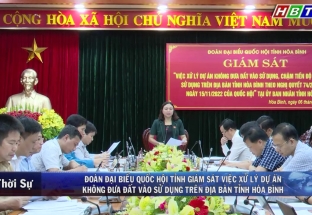 6/10: Đoàn ĐB Quốc hội tỉnh Hòa Bình giám sát việc xử lý dự án không đưa đất vào sử dụng trên địa bàn tỉnh 