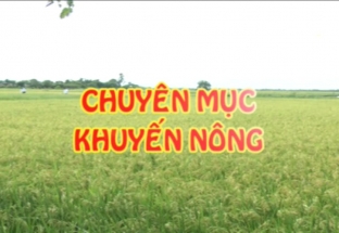 CM Khuyến nông 6/9/2018