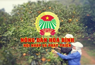 CM Nông dân Hòa Bình 10/9/2024