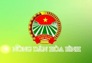 Nông dân Hòa Bình 6/11/2018