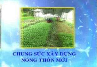 CM Nông thôn mới 3/9/2018