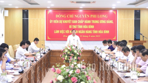 Bí thư Tỉnh ủy Nguyễn Phi Long làm việc với ngành Ngân hàng tỉnh