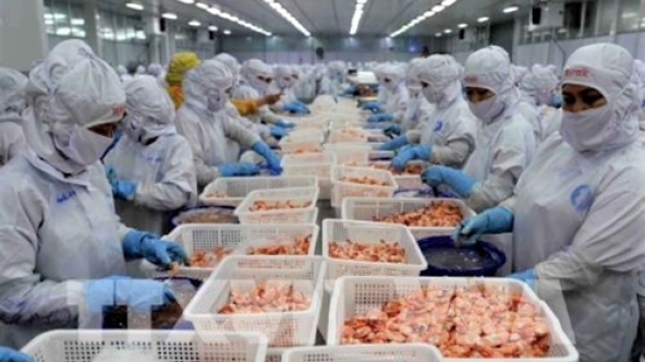 Tôm đứng đầu giá trị xuất khẩu các mặt hàng thủy sản Việt Nam