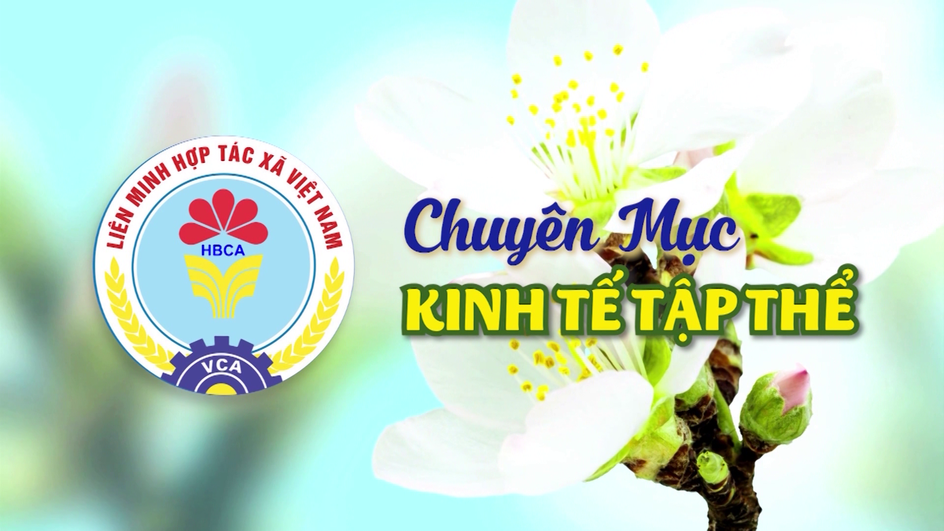 CM : Kinh tế tập thể 15/9/2024